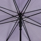 Зонт полуавтоматический «Цветы и кружево», 8 спиц, R = 54 см - Фото 3