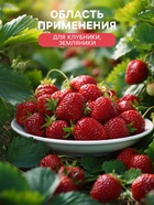 Удобрение органоминеральное «Буйские удобрения», для клубники, земляники, 1 кг - Фото 3