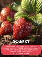 Удобрение органоминеральное «Буйские удобрения», для клубники, земляники, 1 кг - Фото 6