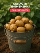 Удобрение органоминеральное картофельное, 5 кг - Фото 3