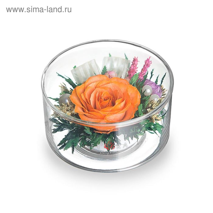 46810 Оранжевая роза с белой лентой, малый плоский цилиндр, 46810 - Фото 1