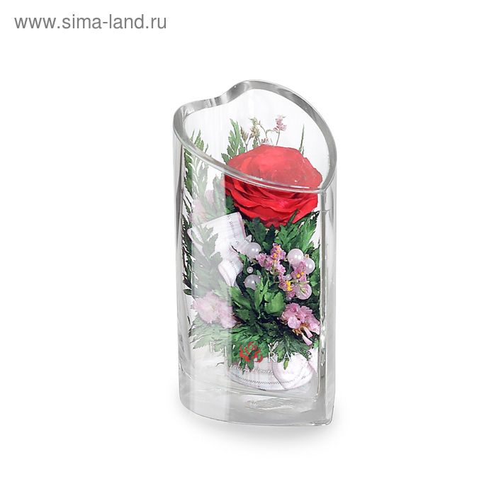 Цветы В Вакууме Купить Оптом