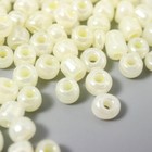 Бисер круглый 6/0 «Персиковый перламутр», 20 г - Фото 2