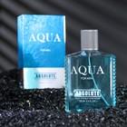 Туалетная вода мужская Absolute Aqua, 100 мл (по мотивам Acqua Di Gio (G.Armani) - Фото 1