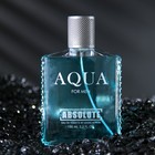 Туалетная вода мужская Absolute Aqua, 100 мл (по мотивам Acqua Di Gio (G.Armani) - Фото 3