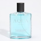 Туалетная вода мужская Absolute Aqua, 100 мл (по мотивам Acqua Di Gio (G.Armani) - Фото 5