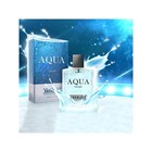 Туалетная вода мужская Absolute Aqua, 100 мл (по мотивам Acqua Di Gio (G.Armani) - Фото 6