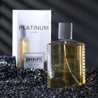 Туалетная вода мужская Absolute Platinum, 100 мл (по мотивам Egoiste Platinum (Chanel) - Фото 1