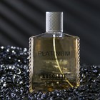 Туалетная вода мужская Absolute Platinum, 100 мл (по мотивам Egoiste Platinum (Chanel) - Фото 2