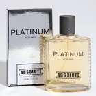 Туалетная вода мужская Absolute Platinum, 100 мл (по мотивам Egoiste Platinum (Chanel) - Фото 4