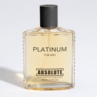 Туалетная вода мужская Absolute Platinum, 100 мл (по мотивам Egoiste Platinum (Chanel) - Фото 5