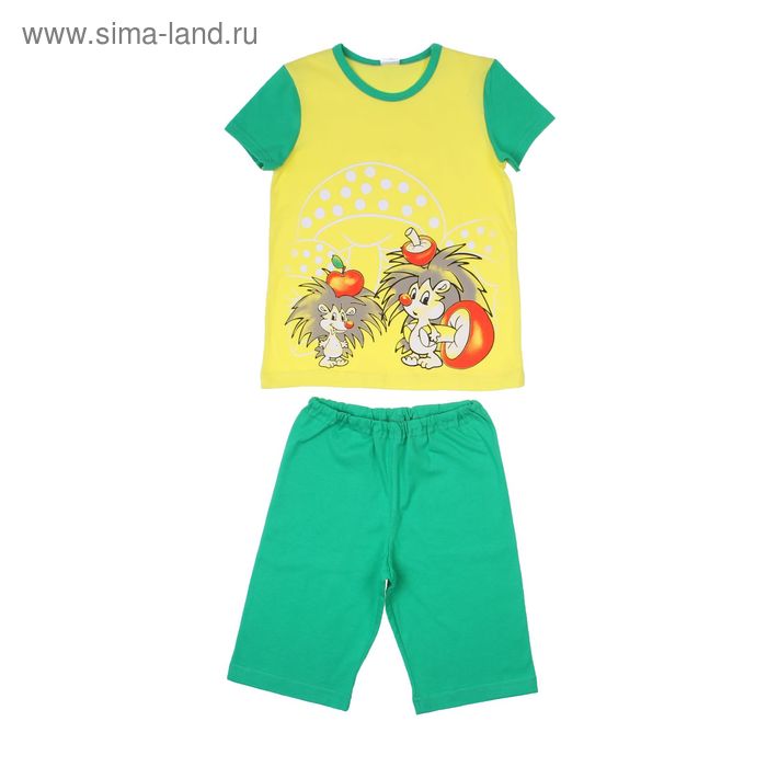 Комплект для мальчика (футболка, шорты) "Ежи", цвет зелёный, рост 98-104 (28) см - Фото 1