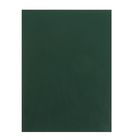 Тетрадь А4, 96 листов клетка "Зелёная", обложка бумвинил - Фото 1