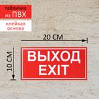 Табличка ВЫХОД/EXIT красный 200*100, самоклеющаяся основа - Фото 1