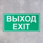 Табличка "ВЫХОД/EXIT" 200 х 100, клейкая основа - Фото 2
