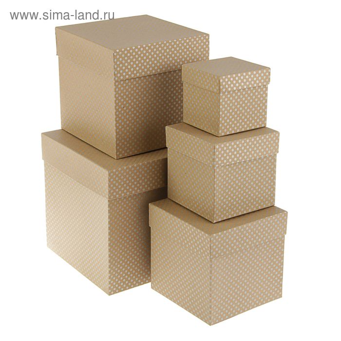 Набор коробок 5в1 "Горох серебряный крафт", 22.5 х 22.5 х 22.5 - 9.5 х 9.5 х 9.5 см - Фото 1