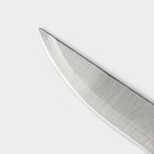 Нож для овощей кухонный Доляна «Триколор», лезвие 8,5 см - фото 4568448