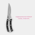 Ножницы для разделки птицы Доляна «Профи», 25×4×1.5 см, чёрные - Фото 2