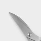 Ножницы кухонные Доляна «Профи», 25×4×1,5 см, цвет чёрный - фото 4568455