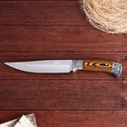 Нож охотничий "Лейв" 30см, клинок 176мм/3,4мм, дерево - Фото 4
