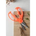 Ножницы кухонные Доляна «Ловкач», 19 см, цвет оранжевый - Фото 7