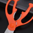 Ножницы кухонные Доляна «Ловкач», 19 см, цвет оранжевый - фото 4568461