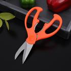 Ножницы кухонные Доляна «Ловкач», 19 см, цвет оранжевый - Фото 5