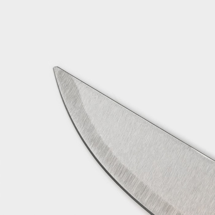 Нож кухонный Доляна «Триколор», лезвие 21 см - фото 1896571651