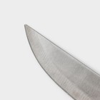 Нож кухонный Доляна «Триколор», лезвие 23 см - Фото 3