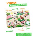 Лабиринт «На ферме» - Фото 5