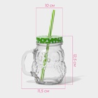 Кружка с крышкой и трубочкой «Сова», 470 мл, 10×11.5×12.5 см, стекло, МИКС - Фото 2