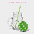 Кружка с крышкой и трубочкой «Сова», 470 мл, 10×11.5×12.5 см, стекло, МИКС - Фото 3