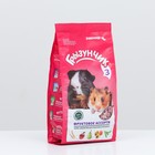 Корм-лакомство «Зоомир Грызунчик 3» для грызунов и кроликов, фруктовое ассорти, 200 г - Фото 2