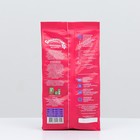 Корм-лакомство «Зоомир Грызунчик 3» для грызунов и кроликов, фруктовое ассорти, 200 г - Фото 3