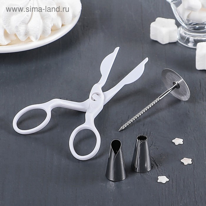 Набор кондитерский Доляна, 4 предмета, 2 насадки d=1.7 см, ножницы кондитерские для переноски украшений, гвоздь d=0.3/3.3 см - Фото 1