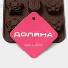 Форма для конфет и шоколада Доляна «Поляна», силикон, 20.5×10.5×1.5 см, 15 ячеек (2.3×2.3 см), коричневая - Фото 9