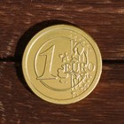 Монеты в банке "Евро", 6 г - Фото 3
