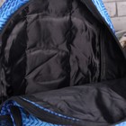 Рюкзак школьный, отдел на молнии, 2 наружных кармана, 2 боковых сетки, цвет синий - Фото 3