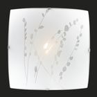 Светильник потолочный MAREA 1 лампа E27 60W 220V никель/белый 30х30 см - Фото 1