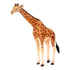 Фигурка «Сетчатый жираф» - фото 297863007