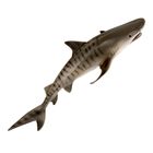 Фигурка «Тигровая акула» - фото 109824532