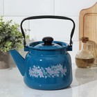 Чайник, 2,3 л, эмалированная крышка, индукция, цвет синий - фото 6141397