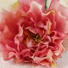 Цветы искусственные "Георгин Фин" 15х57 см, розовый - фото 8313033