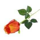 Цветы искусственные "Роза" оранжевая 8*4*55 см - Фото 1