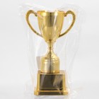 Кубок 112, наградная фигура, золото, подставка пластик, 17,7 x 10,5 x 7.5 cм. - Фото 6