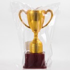 Кубок 113, наградная фигура, золото, подставка пластик, 17.7 см - Фото 6