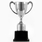 Кубок 113, наградная фигура, серебро, подставка пластик, 17.7 см - Фото 3