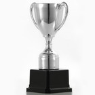 Кубок 113, наградная фигура, серебро, подставка пластик, 17.7 см - Фото 4