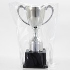 Кубок 113, наградная фигура, серебро, подставка пластик, 17.7 см - Фото 6