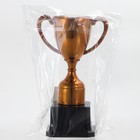 Кубок 113, наградная фигура, бронза, подставка пластик, 17.7×10.5×7.5 см - Фото 6